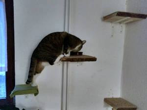 Beispielbild mit korrigiertem Weißabgleich