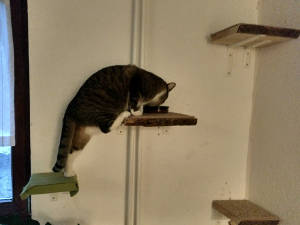 Beispielbild im Original