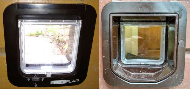 Sureflap Braun: Innen- und Außenansicht