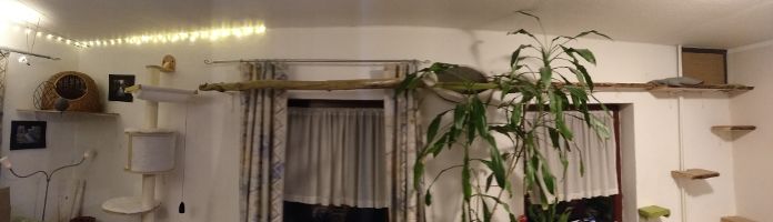 Catwalk Ausbaustufe 2