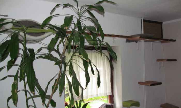 Catwalk erster Abschnitt