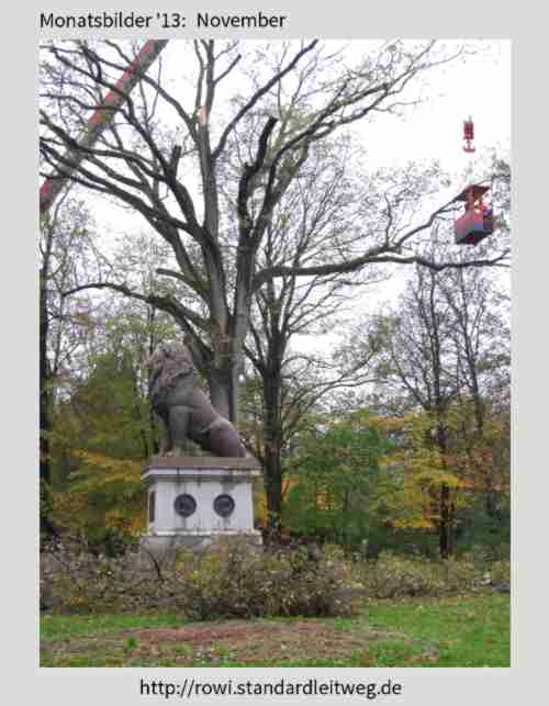 Monatsbilder'13: November