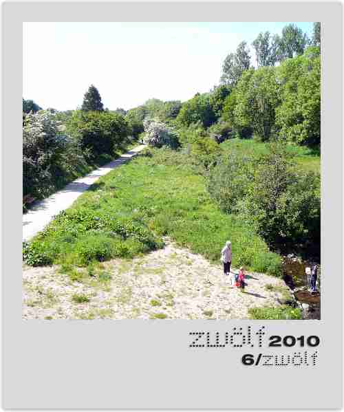 Projekt Zwölf2010 Foto Juni