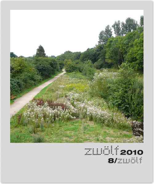 Projekt zwölf2010 - august