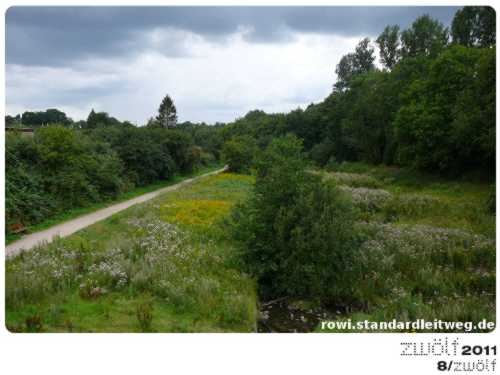 Fotoprojekt: Zwölf2011: August