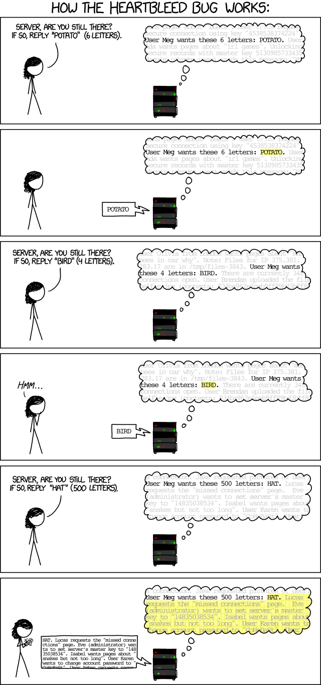 XKCD Heartbleed Erklärung